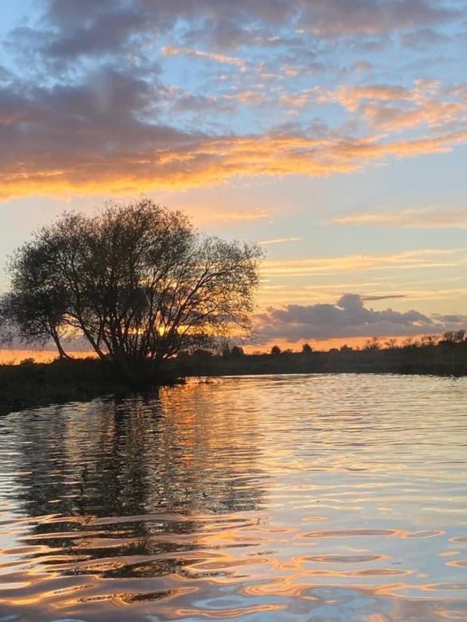 Botel Narrowboats - Beautiful New Moon Narrowboat Cambridge (Cambridgeshire)